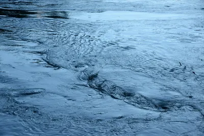 DSC_2442 (Large).JPG